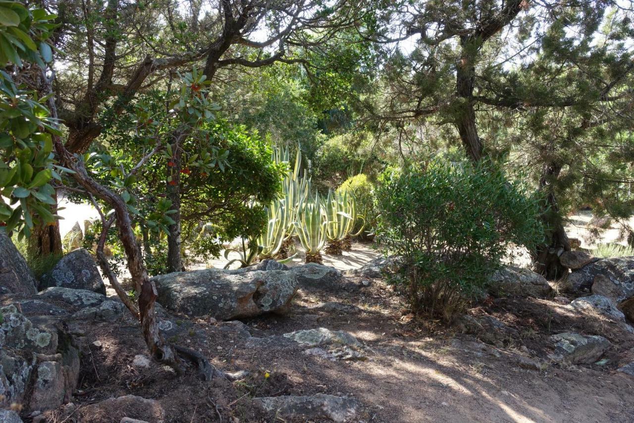 فيلا Domaine De La Punta بورتو فيكشْيو المظهر الخارجي الصورة